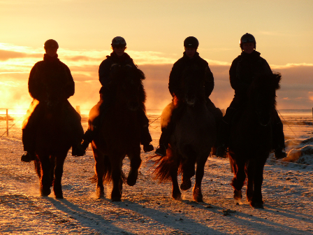 Iceland -Ride, Hot Springs and Whales!